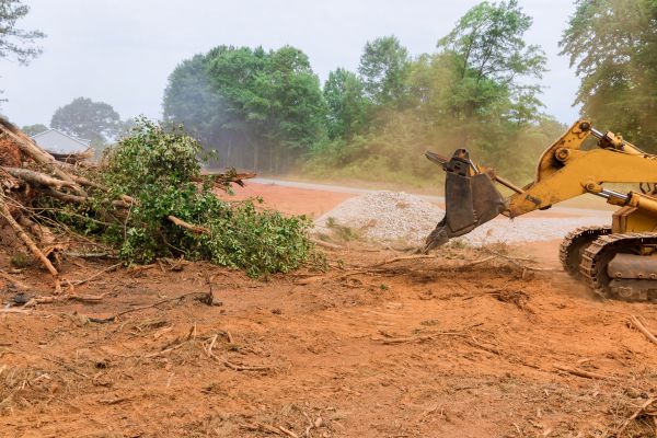 Cost of Forestry Mulching Service in Yakima
