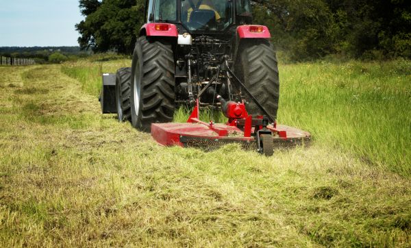 Cost of Brush Clearing Service in Yakima