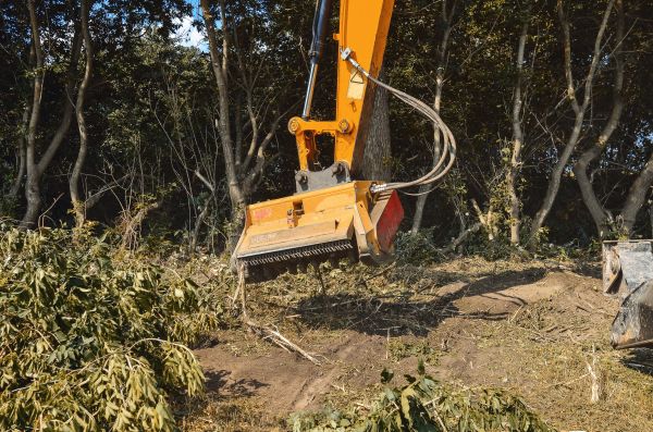 Cost of Brush Removal Service in Yakima
