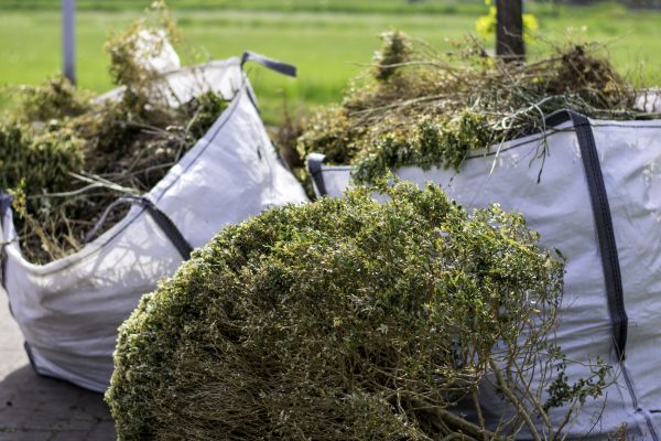 Cost of Bushes Clearing in Yakima