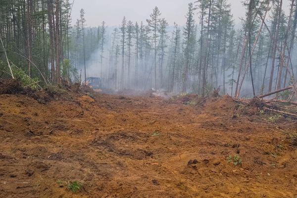 Cost of Hill Clearing in Yakima