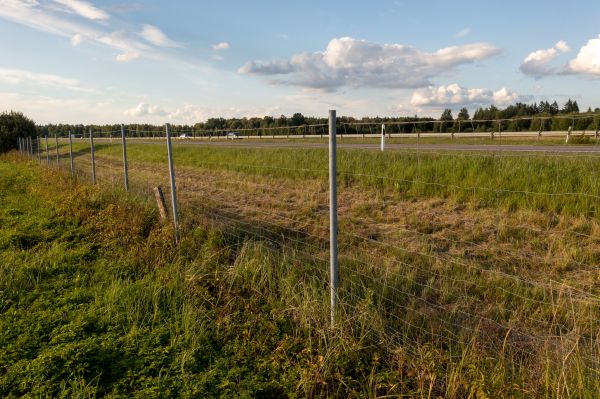 Cost of Property Line Clearing in Yakima