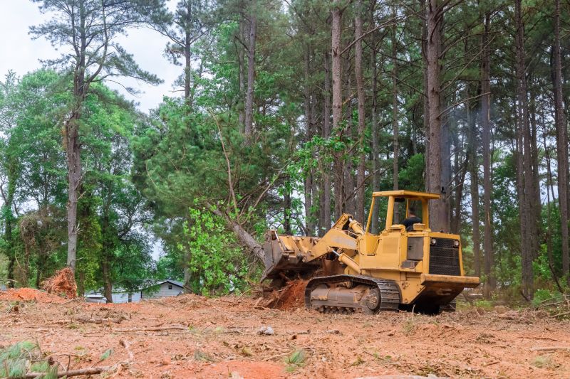 Construction Site Land Clearing