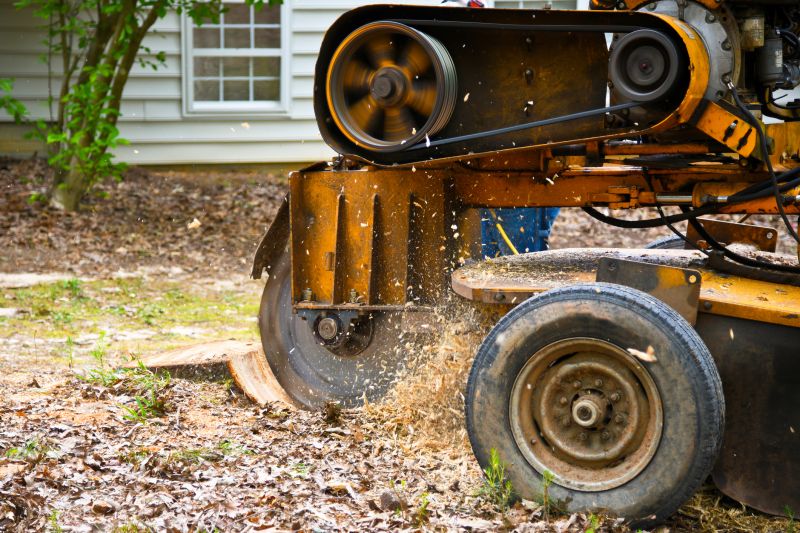 Stump Grinding Operation