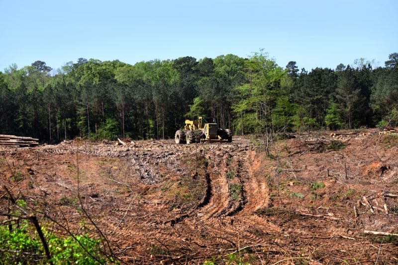 Machinery Used in Land Clearing