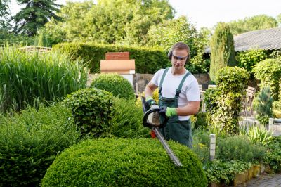 Vegetation Removal Specialists