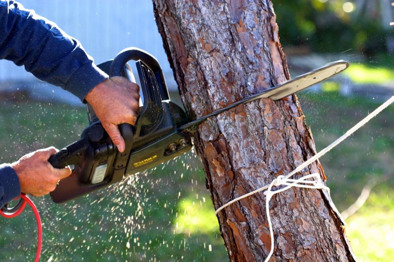 Tree Service Companies